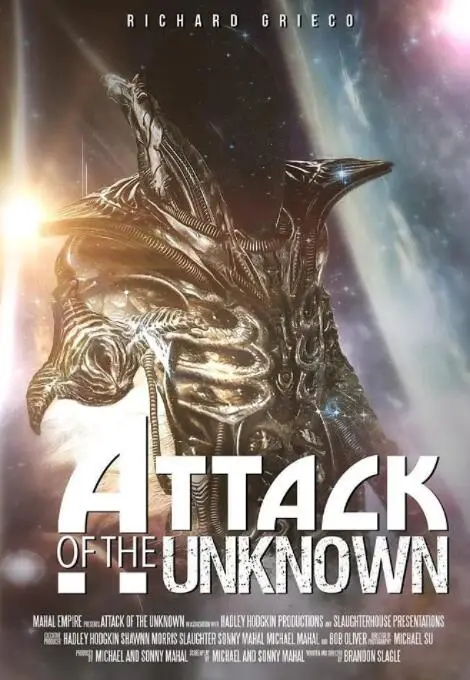 《无名者的攻击》：揭秘身份谜团，探寻正义与复仇的黑暗边缘